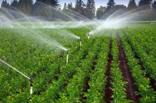Irrigation System Products